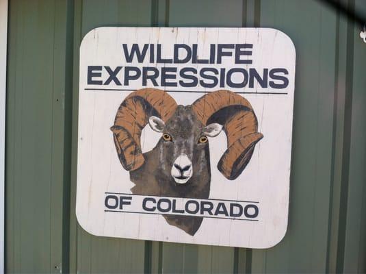 Wildlife Expressions