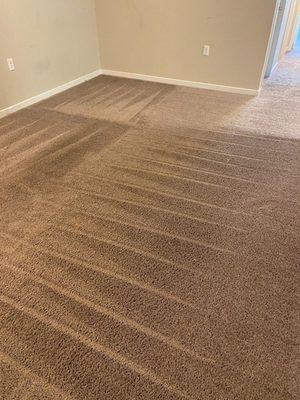 Carpet Cleaning