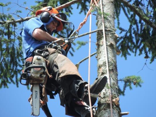 Western States Arboriculture