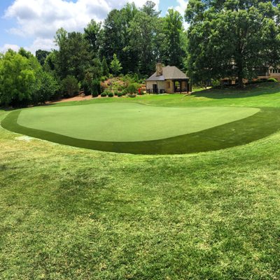 Backyard Putting Green