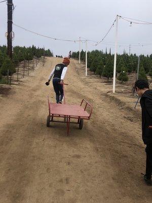 Grandson putting in work to get the tree that the family is going to pick on the trailer.