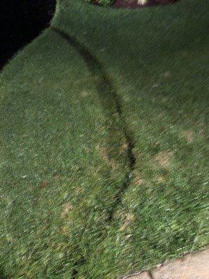 Damage to lawn