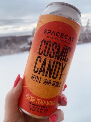 One of the unique fruity sours brewed at Spacecat