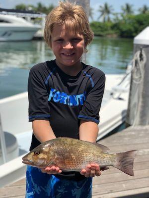 inshore snapper