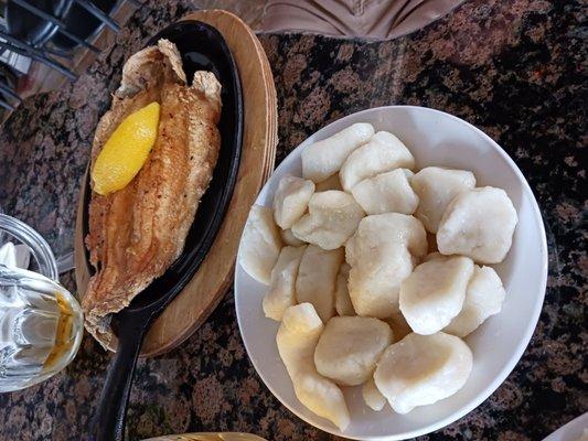 Rainbow trout and dumplings