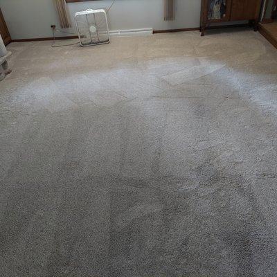 Collins Carpet Cleaning