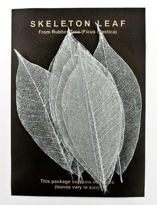 Decorative "skeletonized" leaf