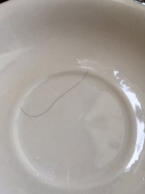 The hair i found in my food. :(