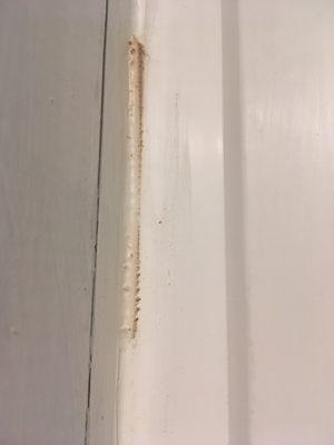 Exposed shims on window installation