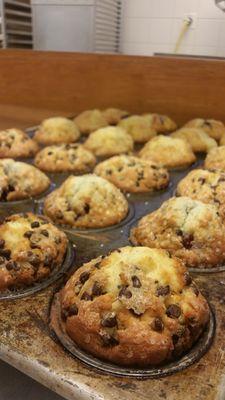 Chocolate Chip Muffins