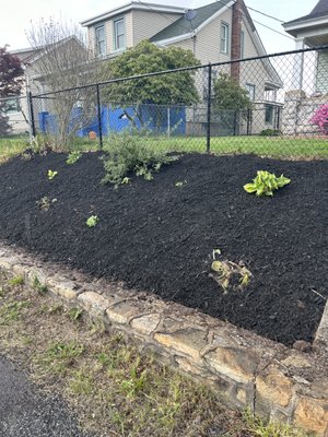 Black mulch