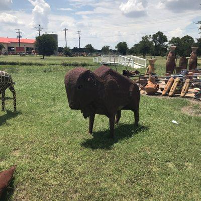 Oh give this buffalo a home where he can roam!