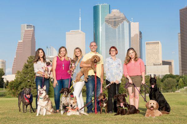 Beyond the Dog Houston Team