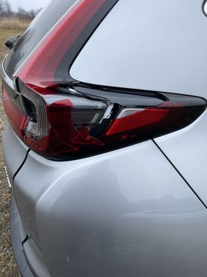 Deer strike tail light