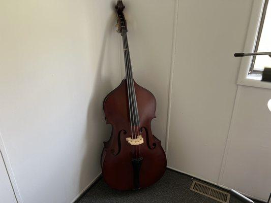 Upright Bass