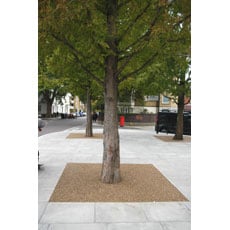 Resin Bound Tree Pit