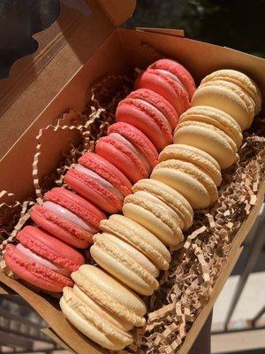 Macarons (red velvet + mango)