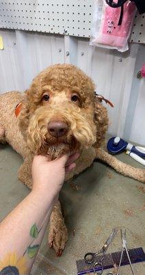 This sweet girl enjoyed her groom!