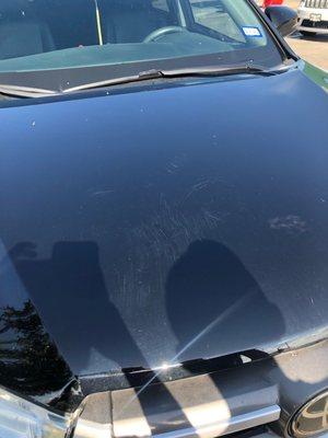 Scratches to my hood