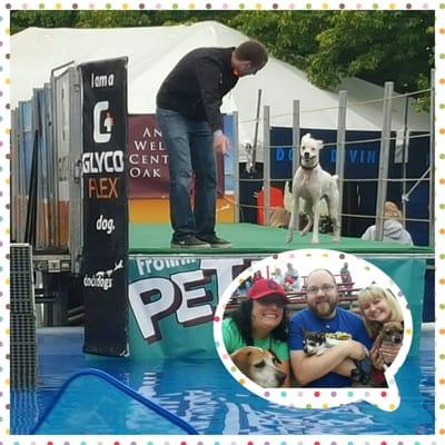 Pet Fest with Princess & crew :)