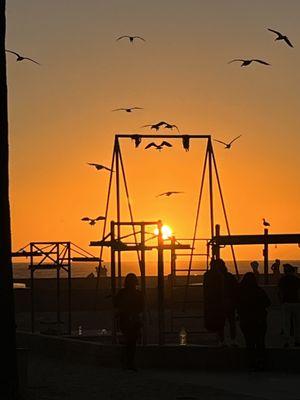 Venice To Santa Monica Beach Park Sessions