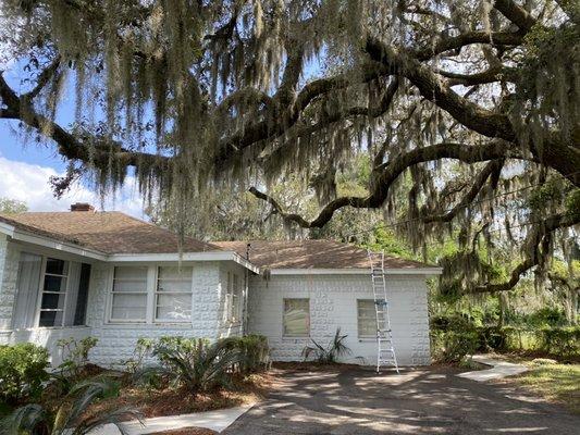 Symmetry Landscaping & Stump Removal