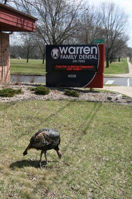 Why did the turkey cross the road?  To get his spring cleaning from Warren Family Dental!