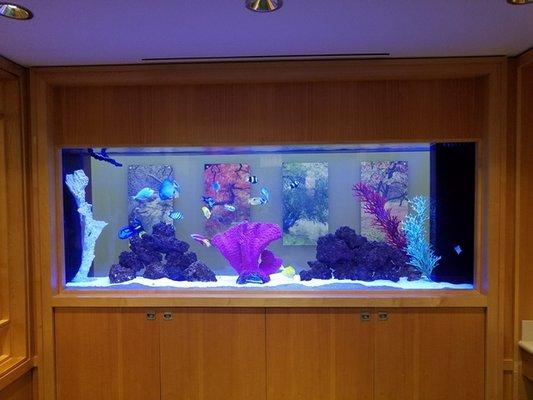 Custom See-Through Saltwater Aquarium in a Hospital