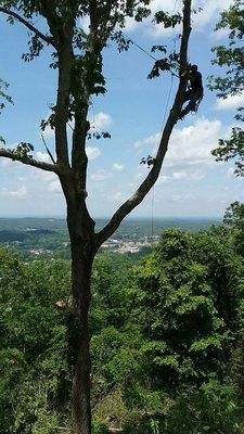 Cut trees to open this view in Anniston Al.