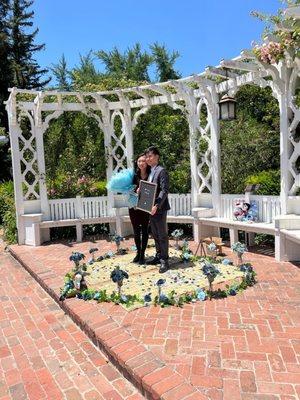 Proposal at the arboretum