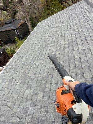 Roof Cleaning