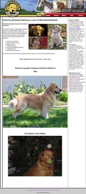 http://broomfieldgoldens.com/