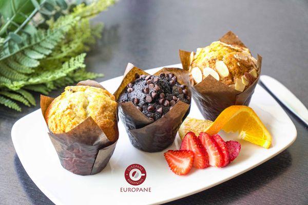 blueberry muffins, lemon poppyseed muffin and Double chocolate muffin.