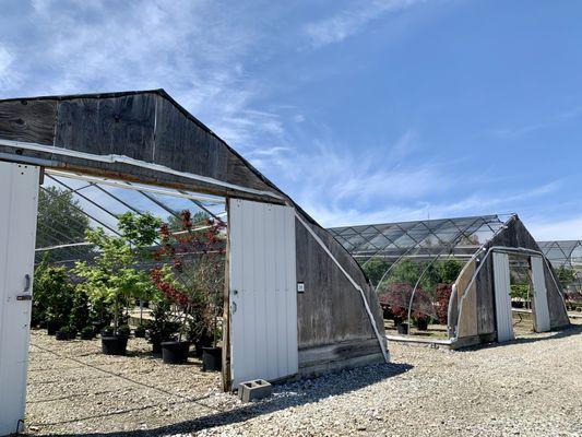 Walking around the nursery