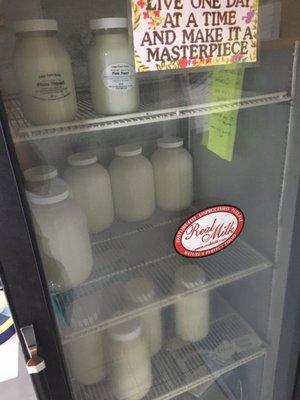 Cooler of milk and yogurt