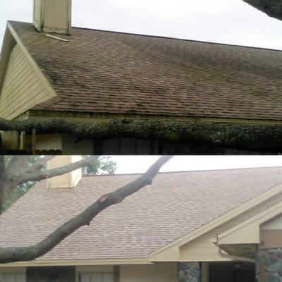 Lasmar Exterior Chemical Roof Cleaning & Pressure Cleaning