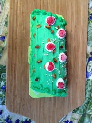 Pistachio Log