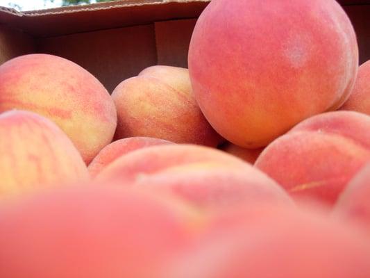 peaches...