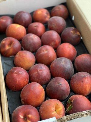 Palisade Peaches