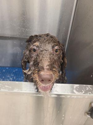 Bath time!