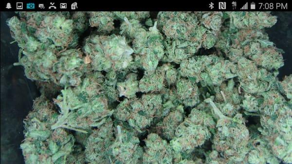 Platinum OG Kush  Potpaparazzi@gmail.com  #potpaparazzi