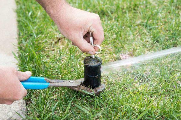 Sprinkler Head Replacement