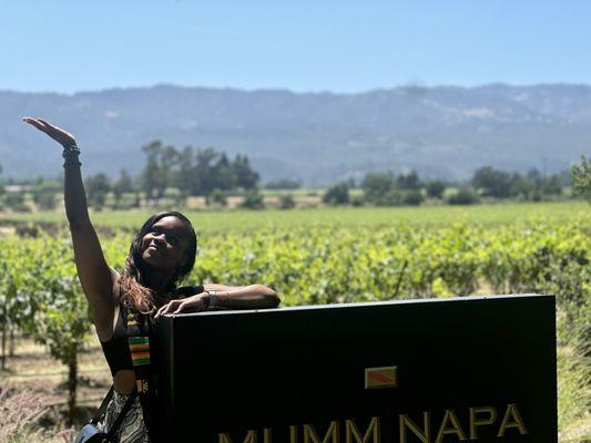 Master Wine Tours