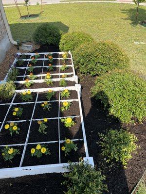 Flower bed Renovation