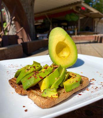 Haas avocado on Deanna's gluten free multigrain bread toasted