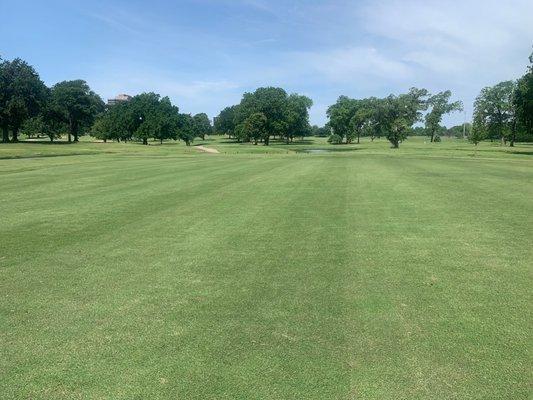 Open fairways.