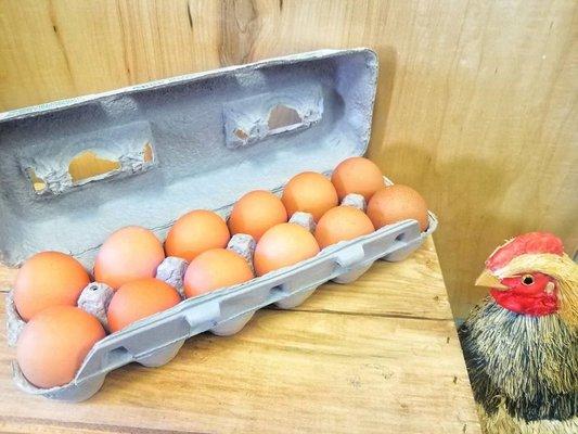 Pasture Raised - Farm Fresh Eggs!