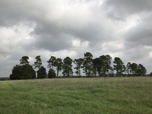 Billig Ranch Preserve