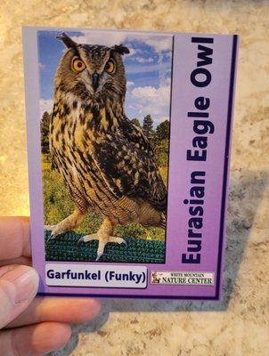 Card featuring an Eagle Owl at the center