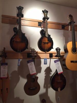 Mandolins